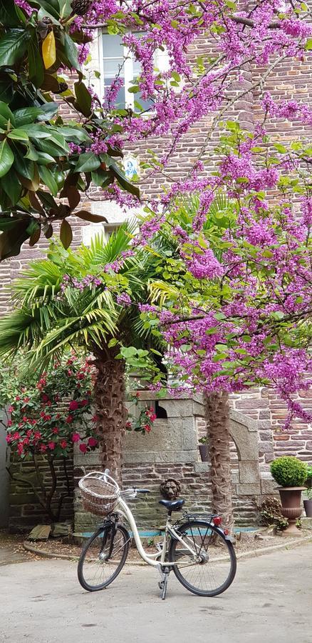 Castel Jolly Bed and Breakfast Rennes Exteriör bild